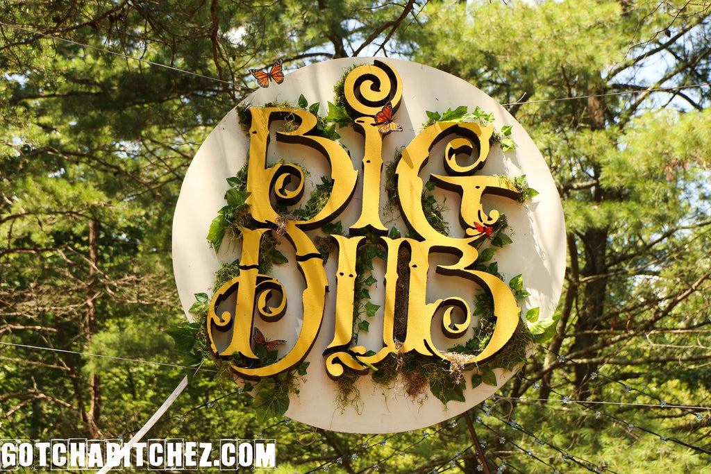 Big Dub Sign at Festival 