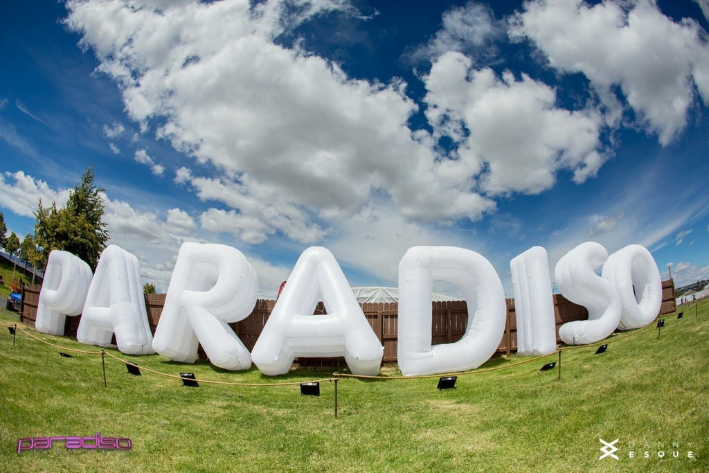 Paradiso 2019: A Beginner’s Guide