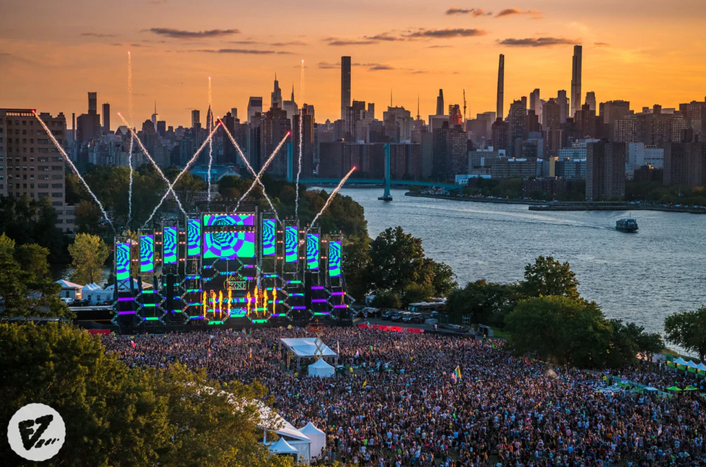 The Evolution of Electric Zoo