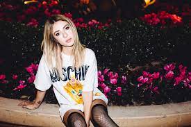Down the Rabbit Hole With Alison Wonderland