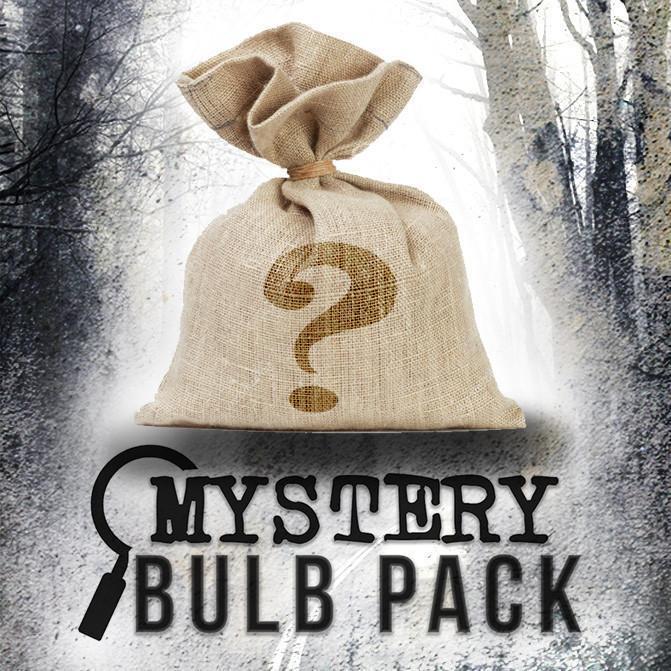 Mystery Bulb Pack